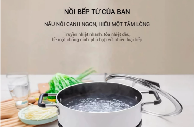 Bếp Từ Lumias LK24-220B: Sự Lựa Chọn Tiện Lợi Với Tính Năng Đặc Biệt
