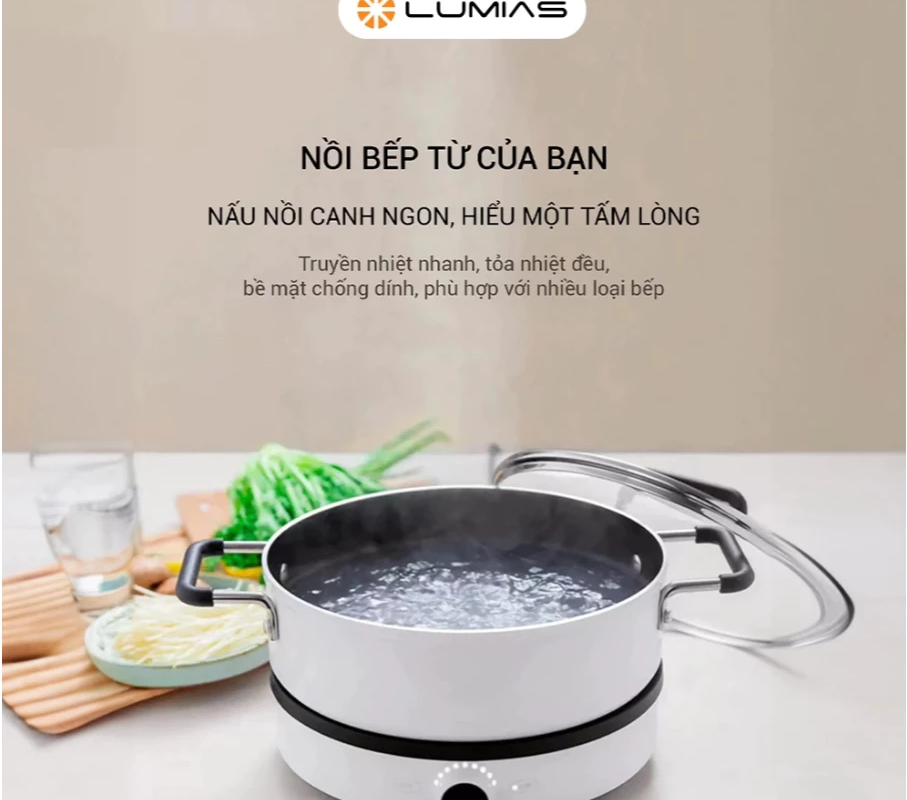Bếp Từ Lumias LK24-220B: Sự Lựa Chọn Tiện Lợi Với Tính Năng Đặc Biệt